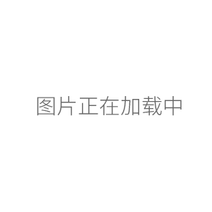 上海雷磁COD-572型化學(xué)需氧量測(cè)定儀、COD測(cè)定儀,COD分析儀